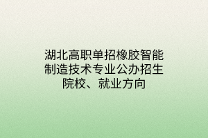 湖北高職單招橡膠智能制造技術(shù)專業(yè)公辦招生院校、就業(yè)方向