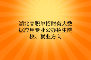 湖北高職單招財(cái)務(wù)大數(shù)據(jù)應(yīng)用專業(yè)公辦招生院校、就業(yè)方向