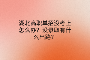 湖北高職單招沒考上怎么辦？沒錄取有什么出路？