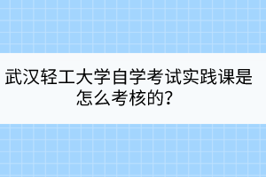 武漢輕工大學自學考試實踐課是怎么考核的？