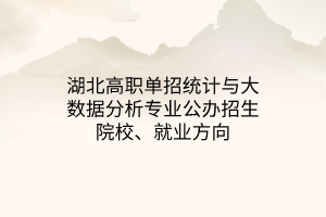 湖北高職單招統(tǒng)計與大數(shù)據(jù)分析專業(yè)公辦招生院校、就業(yè)方向