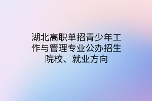 湖北高職單招青少年工作與管理專業(yè)公辦招生院校、就業(yè)方向