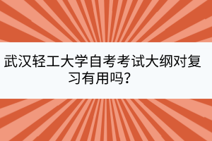 武漢輕工大學(xué)自考考試大綱對(duì)復(fù)習(xí)有用嗎？
