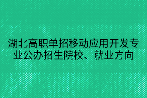 湖北高職單招移動(dòng)應(yīng)用開發(fā)專業(yè)公辦招生院校、就業(yè)方向