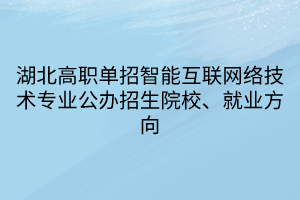 湖北高職單招智能互聯(lián)網(wǎng)絡(luò)技術(shù)專業(yè)公辦招生院校、就業(yè)方向