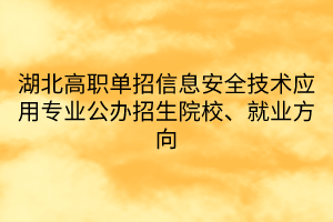 湖北高職單招信息安全技術(shù)應(yīng)用專業(yè)公辦招生院校、就業(yè)方向