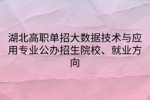 湖北高職單招大數(shù)據(jù)技術(shù)與應(yīng)用專業(yè)公辦招生院校、就業(yè)方向