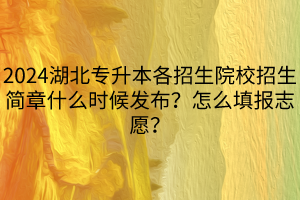 2024湖北專升本各招生院校招生簡章什么時(shí)候發(fā)布？怎么填報(bào)志愿？(1)