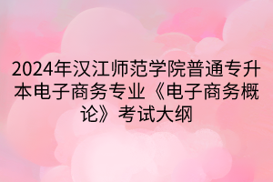 2024年漢江師范學院普通專升本電子商務(wù)專業(yè)《電子商務(wù)概論》考試大綱(1)