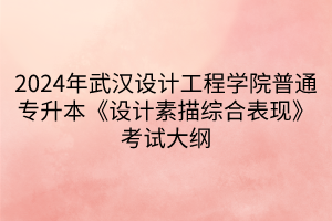 2024年武漢設計工程學院普通專升本《設計素描綜合表現(xiàn)》考試大綱(1)