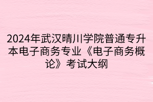 2024年武漢晴川學(xué)院普通專升本電子商務(wù)專業(yè)《電子商務(wù)概論》考試大綱(1)