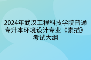 2024年武漢工程科技學(xué)院普通專升本環(huán)境設(shè)計(jì)專業(yè)《素描》考試大綱(1)