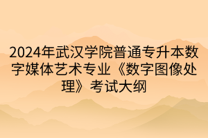 2024年武漢學(xué)院普通專升本數(shù)字媒體藝術(shù)專業(yè)《數(shù)字圖像處理》考試大綱(1)