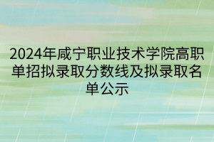 2024年咸寧職業(yè)技術(shù)學院高職單招擬錄取分數(shù)線及擬錄取名單公示