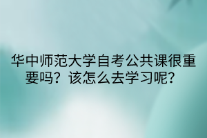 華中師范大學(xué)自考公共課很重要嗎？該怎么去學(xué)習(xí)呢？