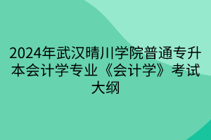 2024年武漢晴川學(xué)院普通專升本會計學(xué)專業(yè)《會計學(xué)》考試大綱(1)