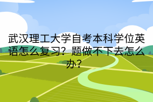 武漢理工大學(xué)自考本科學(xué)位英語怎么復(fù)習(xí)？題做不下去怎么辦？