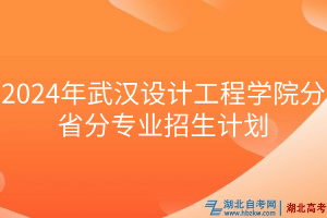 2024年武漢設(shè)計工程學(xué)院分省分專業(yè)招生計劃