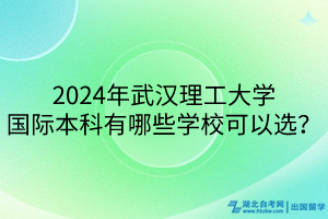 2024年武漢理工大學(xué)國際本科有哪些學(xué)校可以選？