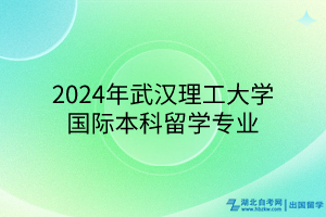 2024年武漢理工大學國際本科留學專業(yè)