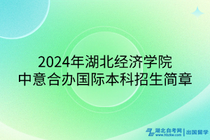 2024年湖北經(jīng)濟學院中意合辦國際本科招生簡章