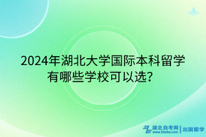 2024年湖北大學(xué)國(guó)際本科留學(xué)有哪些學(xué)?？梢赃x？