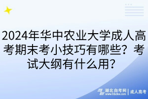 2024年華中農(nóng)業(yè)大學成人高考期末考小技巧有哪些？考試大綱有什么用？