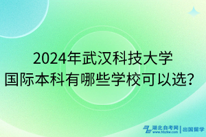 2024年武漢科技大學(xué)國際本科有哪些學(xué)校可以選？