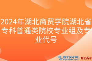 2024年湖北商貿(mào)學(xué)院湖北省?？破胀愒盒I(yè)組及專業(yè)代號