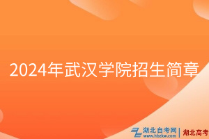 2024年武漢學院招生簡章