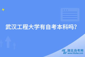 武漢工程大學有自考本科嗎？