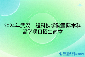 2024年武漢工程科技學(xué)院國際本科留學(xué)項(xiàng)目招生簡章