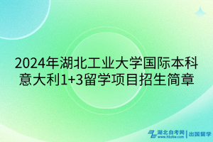 2024年湖北工業(yè)大學(xué)國際本科意大利1+3留學(xué)項(xiàng)目招生簡章