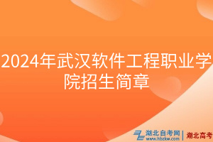 2024年武漢軟件工程職業(yè)學(xué)院招生簡章