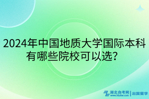 2024年中國地質大學國際本科有哪些院?？梢赃x？