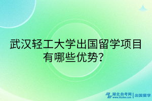 武漢輕工大學(xué)出國(guó)留學(xué)項(xiàng)目有哪些優(yōu)勢(shì)？