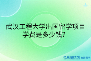 武漢工程大學出國留學項目學費是多少錢？