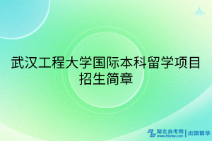 武漢工程大學國際本科留學項目招生簡章