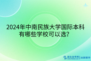 2024年中南民族大學國際本科有哪些學?？梢赃x？