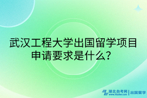 武漢工程大學(xué)出國(guó)留學(xué)項(xiàng)目申請(qǐng)要求是什么？