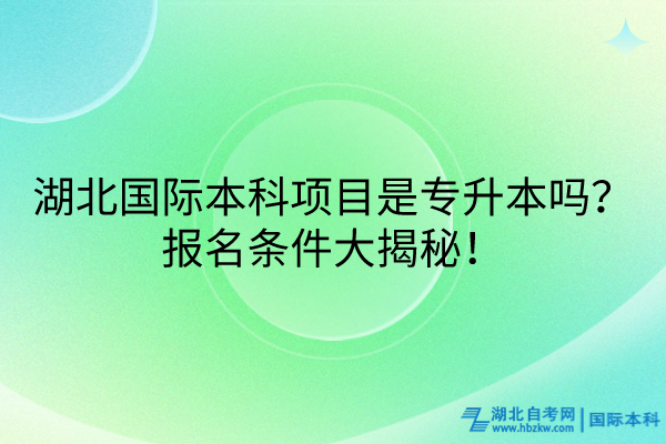 湖北國際本科項目是專升本嗎？報名條件大揭秘！