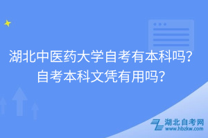 湖北中醫(yī)藥大學自考有本科嗎？自考本科文憑有用嗎？