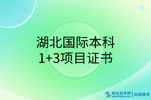 湖北國際本科1+3項(xiàng)目證書