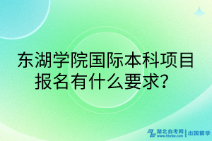 東湖學院國際本科項目報名有什么要求？