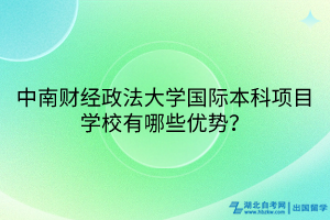 中南財(cái)經(jīng)政法大學(xué)國際本科項(xiàng)目學(xué)校有哪些優(yōu)勢(shì)？