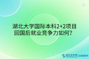 湖北大學國際本科2+2項目回國后就業(yè)競爭力如何？