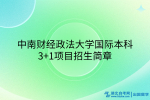 中南財經政法大學國際本科3+1項目招生簡章