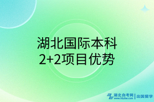 湖北國際本科2+2項目優(yōu)勢