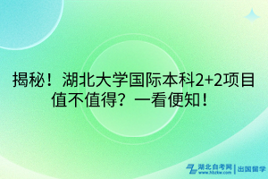 揭秘！湖北大學(xué)國(guó)際本科2+2項(xiàng)目值不值得？一看便知！