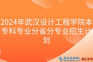 2024年武漢設(shè)計工程學(xué)院本?？茖I(yè)分省分專業(yè)招生計劃